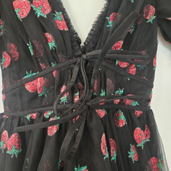 Lirika Matoshi Black Strawberry Dress tulle goth cottage core Small - Picture 7 of 17